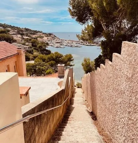 T2 Avec Piscine 300m Et Crique Appartement *